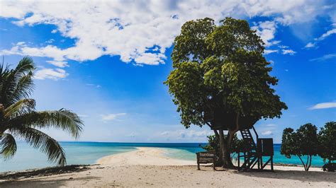 Leyte Island – Travel guide at Wikivoyage.